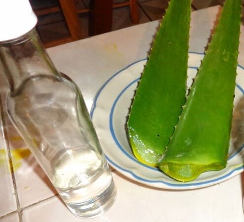 Zubereitung eines alkoholischen Aufgusses aus Aloe-Blättern zur Behandlung von Prostatitis und Prostataadenom